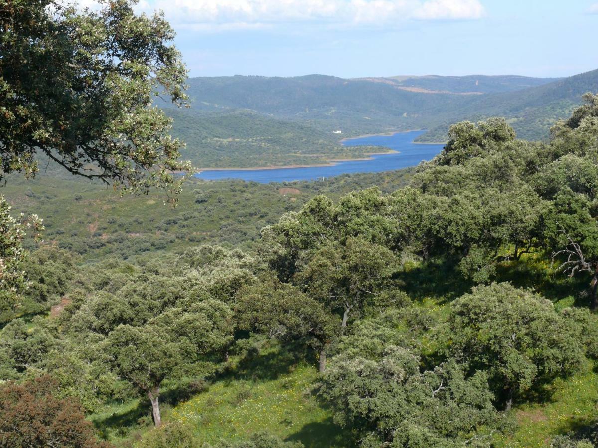 Casa Centenaria Con Encanto Zufre Εξωτερικό φωτογραφία